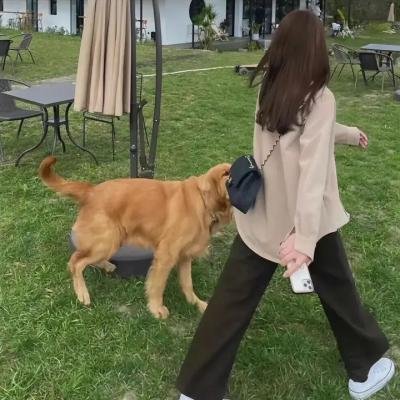 泰坦尼克号