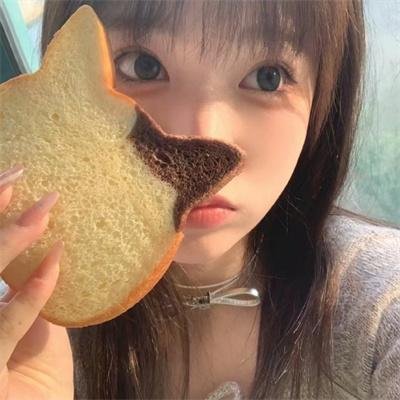 宠物情人